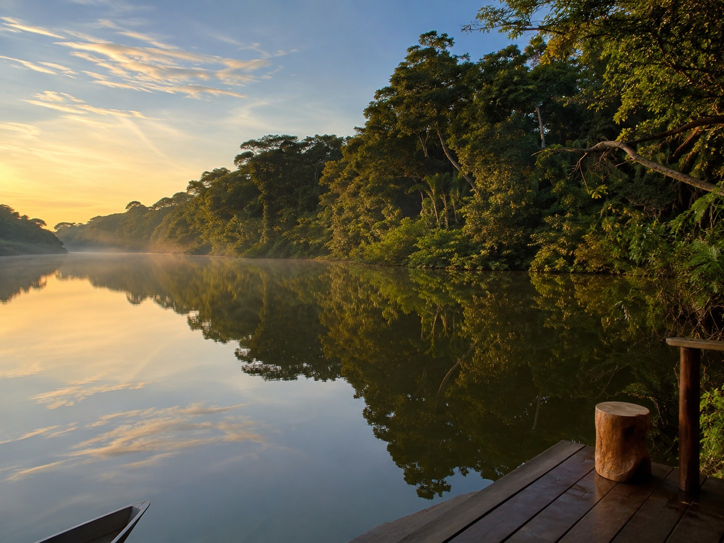 amazonia